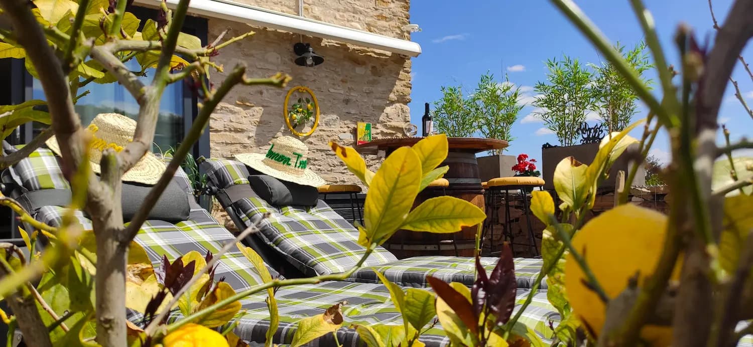 Extérieur Lemon Tree